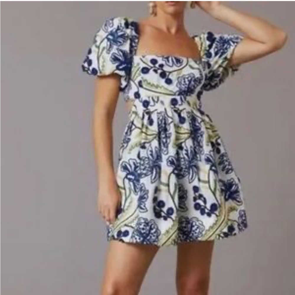 ANTHROPOLOGIE Embroidered Floral Puff Sleeve Mini Dress size Large